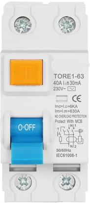 Disjoncteur différentiel électromécanique 2P 16A 63A 10mA 30mA 100mA 6KA RCCB RCD 230V Disjoncteur différentiel électromécanique Interrupteur de sécurité(2Pole 100mA,63A)