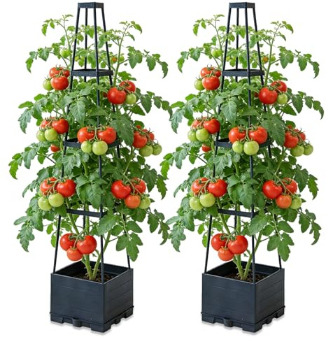 BRGD Lot de 2 Jardinière Surélevée avec Treillis, Arrosage Automatique Jardiniere Tomate pour Culture de Concombres, Haricots, Roses et Pétunias