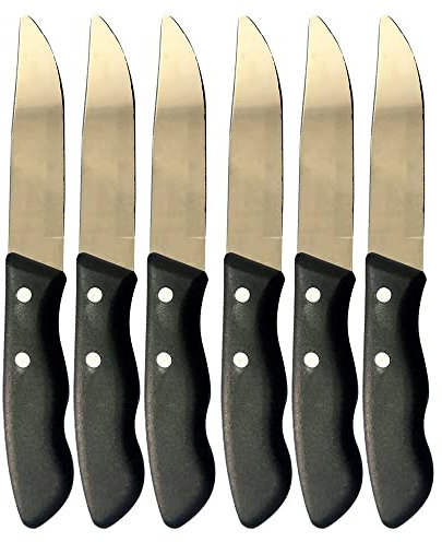 BERNIGROUP Set 6 Coltelli Professionali in Acciaio Inox Sempreaffilati
