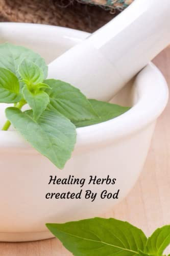 Healing Herbs Created By God: Natural Remedies