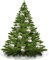 TEXMAXX® Weihnachtsbaumunterlage - Weihnachtsbaumdecke - Christbaumunterlage - Tannenbaumunterlage - PVC Folie 2 mm dick mit abgeschrägter Kante - transparente Unterlage - (40 cm Rund)