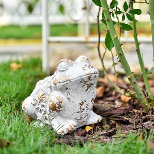Sungmor Froschfigur, Gartendekoration, Zement-Frosch-Statue für Terrasse, Hof, Rasen, Ornament, für drinnen und draußen, große Steindekoration, lustige Tierskulptur, Gartengeschenk
