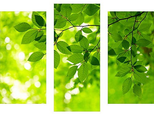 decorwelt | Dreiteiliges Wandbild 3 Teilig Acrylglasbilder Acryl Glasbild Natur Grün 90x70 cm Wandbilder Wohnzimmer Esszimmer Deko Wanddeko