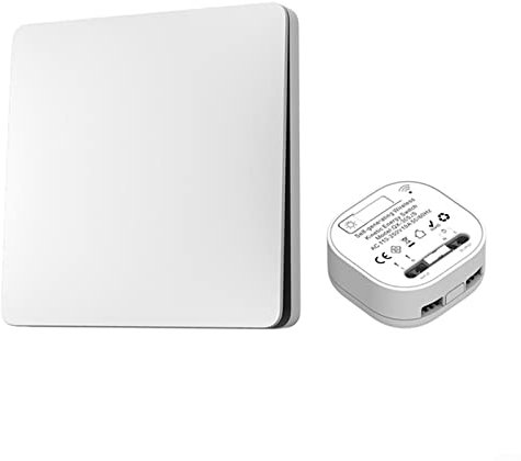 RANRAO Interrupteur sans fil auto-alimenté, kit d'interrupteur d'éclairage sans fil, interrupteur mural sans pile avec récepteur, interrupteur auto-alimenté - Aucun câblage, aucun concentrateur requis