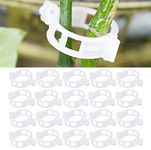 Lifreer 200PCS Plant Support Clips for Climbing Plants Tomato Plant Support Orchid Clips Vines Vegetable Garden Trellis Cage Outdoor Plants Sticks
