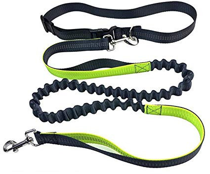 Aiqeer Gris Laisse Chien Mains Libres, Ceinture Réglable et Laisse Élastique Rétractable, Laisse Chien Jogging avec Coutures Réfléchissantes (Poignée Vert)