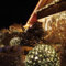 Hellum LED Lichterkette außen, Set aus Lichterkette warmweiß mit 80 LED und 3m Netzkabel, Verlängerung, 7,9m beleuchtete Länge, Kabel grün, Weihnachtsbeleuchtung 152913