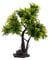Xuanxi Realistics Noci di cocco Ornamenti per albero Plastomer Palme Decorazione Albero Naturale Unico Migliora Acquari Ambiente