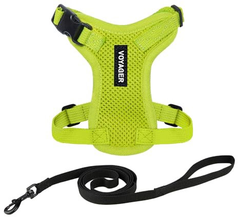 Voyager Step-in Lock Katzengeschirr und reflektierende Katzenleine mit Neoprengriff by Best Pet Supplies - Unterstützt kleine, mittelgroße und große Katzenrassen, Limettengrün, size XXS - 1,5 m