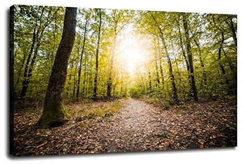 Poster auf Leinwand, Waldweg im Herbst, 91,4 x 61 cm