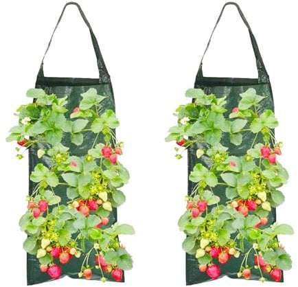 MUYAPAY 2 Pezzi Sacchi per Piante Fragole, Sacco per Piantare Fragole da Appendere, Sacchetti Cilindrici Sospesi con 8 Fori, per Coltivazione Piantare Verdure Fiori Fragole a Casa Giardino (Verde)