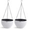 2 Pcs Hanging Plant Basket Outdoors Plastic White Self Watering Hanging Plant Pots with Chain Hooks and Drainage Flower Holder for Plants Flowers Indoor Herbs Violets