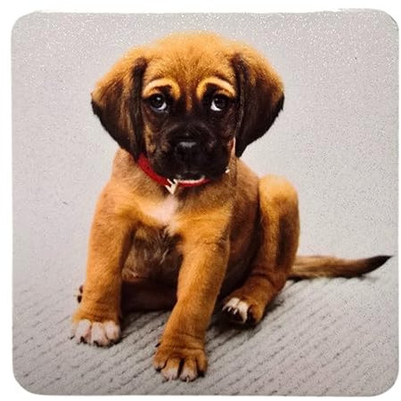 Personalised Fridge Magnet - PVC Photo Fridge Magnet - Personalised Gifts for Your Fridge - Travel, Memories, Family, Novelty, Decoration (1, Square)
