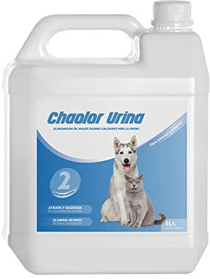 RC ocio Enzymatisches Reinigungsmittel beseitigt Hunde-/Katzenurin | Geruch entferner | Enzyme Spray gegen Hunde-/Katzenurin-Geruch | Geruchsneutralisierer für Stoffe, Möbel, Teppiche, Wände. 5L (5L)