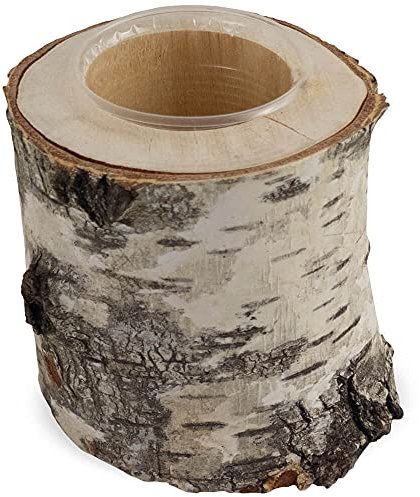 matches21 - Macetero con tronco de abedul, tronco de madera, decoración natural con vaso de plástico, 1 unidad, diámetro de 10-12 x 10 cm