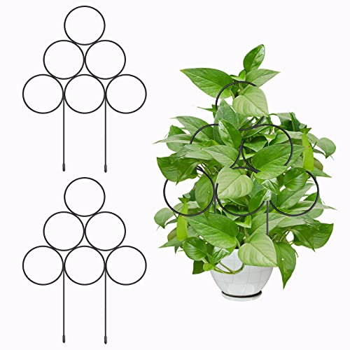 KINBOM 2 Stück 40cm Treillis Plantes Grimpantes, Rundes Indoor Spalier, Plantes Grimpantes Interieur mit 5 Bändern, Treillis Fer Jardin, Treillis Plante für Topfpflanzen Topfblumen Efeu (Schwarz)