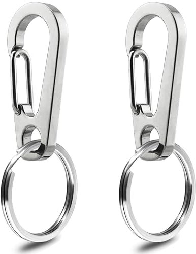 IVIA Hundemarken-Clips, 2 Stück, mehrere Größen, 304 Edelstahl, Schnellclip mit Ringen, einfach zu wechseln, für Hunde- und Katzen-ID-Tag-Halter für kleine Haustierhalsbänder und Geschirre. (2 mittelgroße Silber)