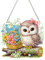 Zamety Diamond Painting Anhänger, Diamond Painting Tiere Eule, Diamant Painting Fensterbilder mit Kette, 5D Diamant Painting Bilder Kinder für Fenster Wand und Eingang Decor
