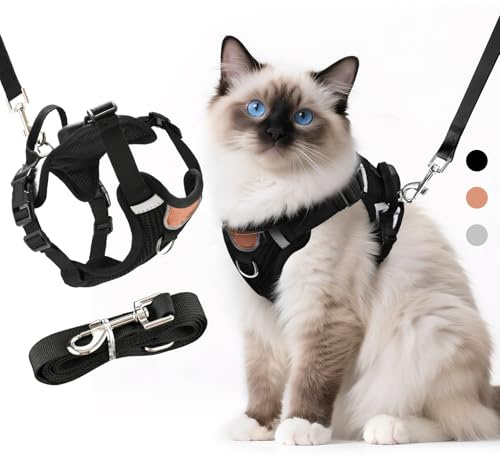 LUOJINYI Verstellbares Katzengeschirr mit Leine Ausbruchsicher, Katze Brustgeschirr mit Reflektierend Streifen & Atmungsaktiv Netzgewebe, Softgeschirr für Katzen Kätzchen Welpen(Schwarz, M)