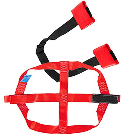 Porotmotor Universal Motorrad Hinterrad Transport Spanngurt (rotes Set)