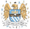 Iconic Puzzles, Manchester City Retro Crest, 100% ökologisch nachhaltiges Holzpuzzle mit offizieller Lizenz, Größe S, 150 Teile