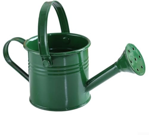 SPORTARC 1 arrosoir de jardin, petit pot de fleurs en métal saupoudré (vert militaire), 6Z37FQ0LM8W5013I652X3VBNT