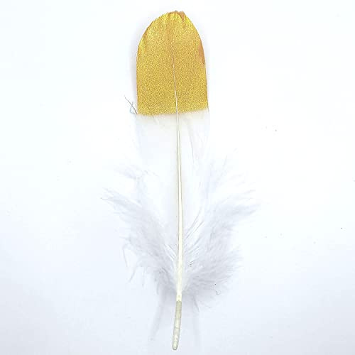 Natürliche Federn Gänsefedern, ca. 15-20 cm, 10 Stück, Weiß goldfarben - Kopper-24 Gans Schwanzfedern Schmuck Dekoration Bastelfedern für Hochzeit Karneval Party Deko Kostüme Natur Basteln