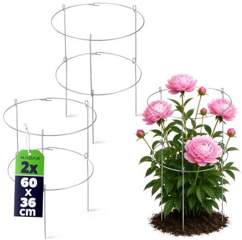 KADAX 2er Set Blumenstütze 60 cm Höhe, Pflanzstütze aus pulverbeschichtetem Stahl, Staudenhalter für Hortensien & Pfingstrosen, Hortensienhalter