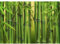 Runa Art Papier peint intissé Mural bambou Moderne Toison Salon Chambre à Coucherr Salle - Tableaux Muraux Tapisserie Photo - vert 9097010a