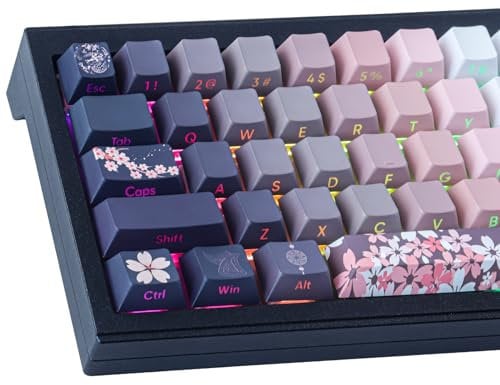 JakeTsai PBT keycaps, 135 Keys Double Shot Keycaps Side Engraved Transparent Keycap Set Cherry Profile Backlit Keycaps for Cherry MX Switch ASIN/ISO Layout Mechanical Keyboard