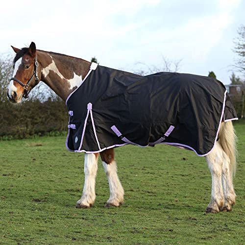 AUTUMNN EQUESTRIAN 50G FILL HORSE TURNOUT RUG LIGHTWEIGHT STANDARD NECK HORSE RUG WATERPROOF 600D HORSE RUG (7'0'')
