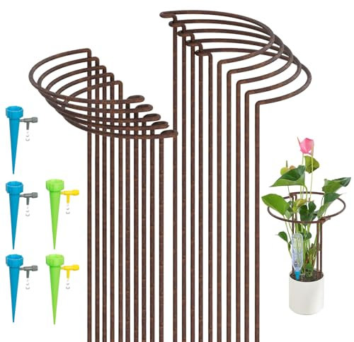 KAZITOO 10 Stück Große 60cm hohe Rostige Bogen-Pflanzenstütze, halbrund Rost-Blumenstütz-Ringkäfig-Rahmen mit 5 selbstbewässernden Spikes, Gartenumrandung für Pfingstrosen, Hortensien(60x30cm)