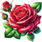 x4 Red Rose Flower Vinyl Stickers Cover Marks Non Transparent Waterproof Floral Art Decals 1@ 20cm Tall Ideal for Toilets or car. 3@ 7cm Tall Ideal for Phone case, Cups & Wine Glass (Rose red)