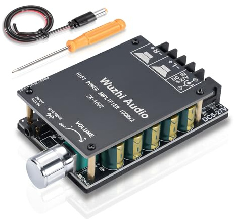 2x100W HiFi-Verstärker, Bluetooth 5.0 Audioverstärker Amp mit LC-Filter & TPA3116 Chip, Stereo Mini Verstärker für Lautsprecher, leiser Anschluss,8-24V DC für Heimkino und Auto