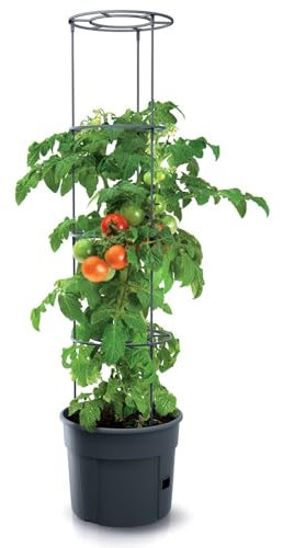 URBN GARDEN Tomato Grower Tower Plastic Home Indoor/Outdoor Plant Veg Flower Pot
