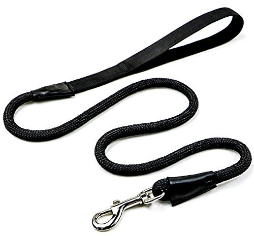 Hundeleine aus Kletterseil Schwarz | Extra stabil und super leicht | 125 cm für mittlere und große Hunde | Führleine bis 100 kg belastbar