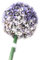 Große künstliche violette Allium-Blumen