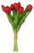 J-Line Bouquet Tulipes 7Pieces PU Rouge Small