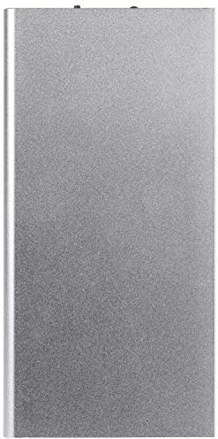 Shot Case Flat External Battery for iPhone 11 Pro Max Tablet Charger Universal Power Bank 6000 mAh 2 USB Port (Silver)