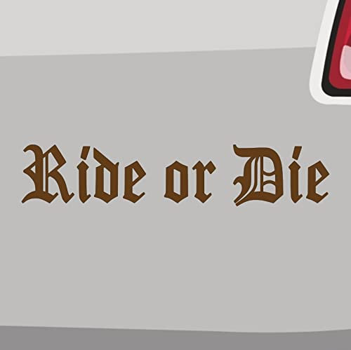 Ride or Die Aufkleber -6 Größen 21 Farben- MTB Downhill BMX Sticker Enduro Bike