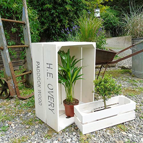 Jones & Grey Set mit 2 Apfelkästen im Vintage-Stil, Holz, Pflanzkasten und Trog