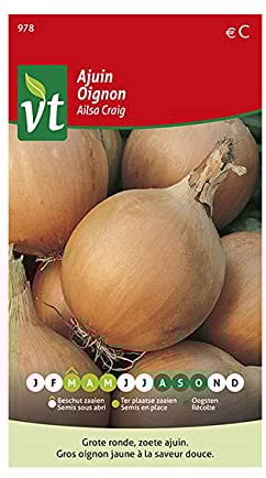 Cebolla Ailsa Craig - Cebolla amarilla grande de sabor suave.
