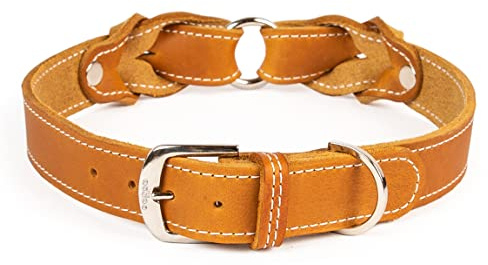CopcoPet Hundehalsband Heidi 45 – 50 cm x 30mm Cognac – Aus weichem Leder mit Ziernaht & verchromten Beschlägen – Robust, stilvoll & verstellbar – Für große Hunde, Spaziergang & Alltag