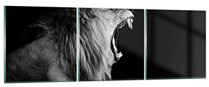 Mehrteilige Bilder auf Glas Löwe Gähnen Schwarz und Weiß Glasbild 90x30cm Wandbilder Dekoration Wohnzimmer Schlafzimmer Küche Set 3 teilige Klein Wanddeko Wand Kunstdruck Art Modern GCA90x30-4252