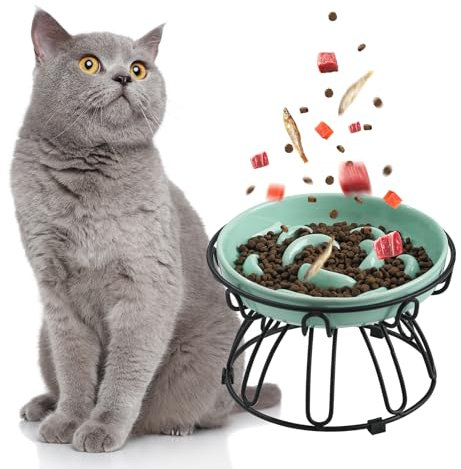 Comedero Antivoracidad para Gato - Elevado con Soporte Metálico Antideslizante - Cuenco de Cerámica de Alimentación Lenta - Plato Alto de Comida - Bol - Menta Verde