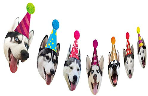 Silvima Partybanner Happy Birthday #7 Geburtstagsbanner mit Husky-Gesicht.