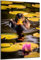 DARO Design - Wand-Bild auf 6mm HDF 30x20 cm Ente Seerosen - Wand-Deko Bilder Geschenk