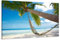 Visario 120 x 80 cm Bild auf Leinwand Strand Palme 5039-SCT deutsche Marke und Lager - Die Bilder/das Wandbild/der Kunstdruck ist fertig gerahmt