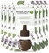 Botanica by Air Wick Duftölflakon – Duft: Eukalyptus & Salbei – Nachhaltig hergestellt mit natürlichen Inhaltsstoffen – 7 x Duftölflakon Nachfüller