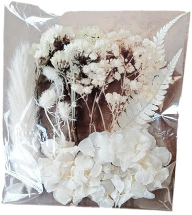 Trockenblumen, Natürliche Getrocknete Blumen, Trockenblumen Zum Basteln, Blumen Natürliche Gemischte, Trockenblumen Klein Trockenblumen Set für Kunst Harz Scrapbooking Handwerk Karten Machen